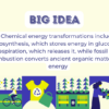Chemical Energy Transformations - Image 3